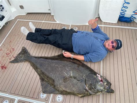 Giant Halibut Fish