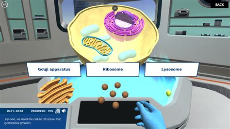 Cell Simulation 的图像结果