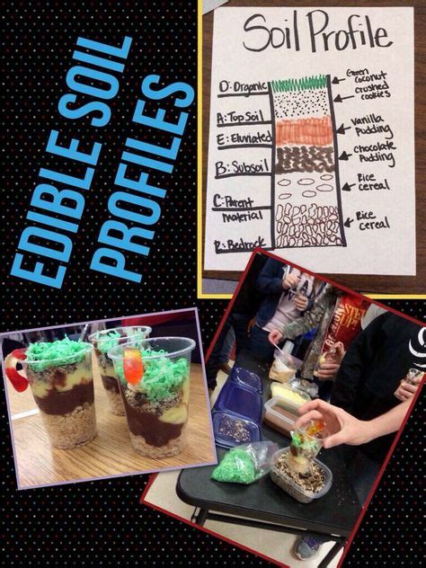 Image result for Science Soil Lessons