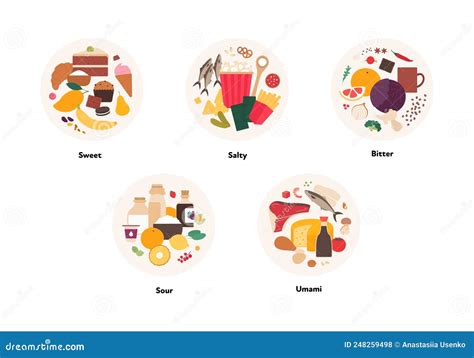 Human Five Taste Infographic. Vector Flat Modern Illustration. Tongue ...