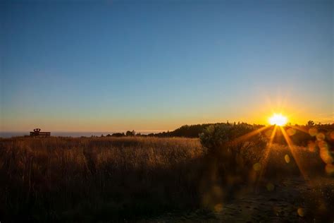 How to Enroll: Former UCSC Student – Summer Session