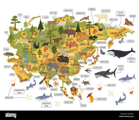 Flat Asian flora and fauna map constructor elements. Animals, birds and ...