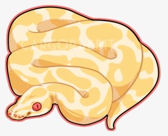 Image result for Python Full-Stack Logo with Transparent Background