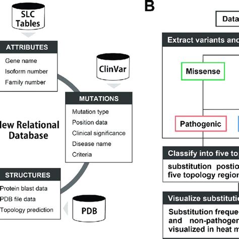 Data Set Table 的图像结果