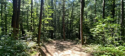 Provin Park Trail, Michigan - 881 Reviews, Map | AllTrails