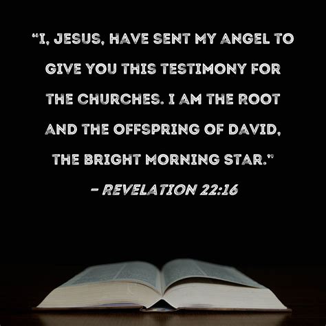 Revelation 22:16 "I, Jesus, have sent My angel to give you this ...