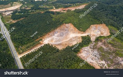 Malaysia Agriculture 的图像结果