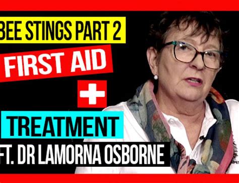 Image result for Bee Feeding Tips