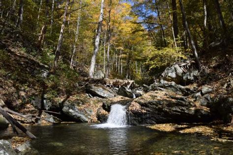 Rose River Falls (Shenandoah National Park) - 2021 What to Know Before ...