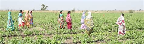 Transforming Indian Farming Through Collaboration