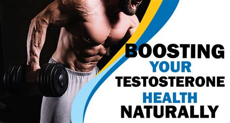 BOOSTING YOUR TESTOSTERONE HEALTH NATURALLY | Steadfast Nutrition
