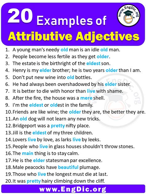 Image result for Attributive Adjectives Worksheet