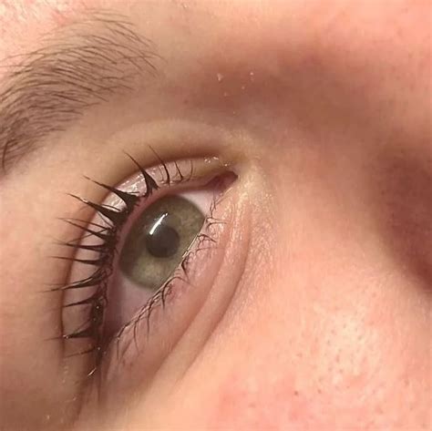 Go Local Winington 的图像结果