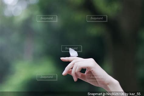 Image result for JavaScript Array Problems