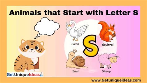List of 100+ Animals that Start with S: Pictures, Facts - GetUniqueIdeas