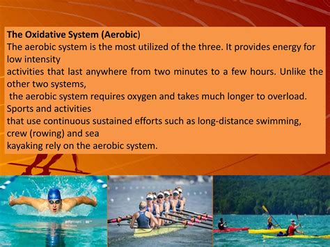 Human Energy System Chart 的图像结果