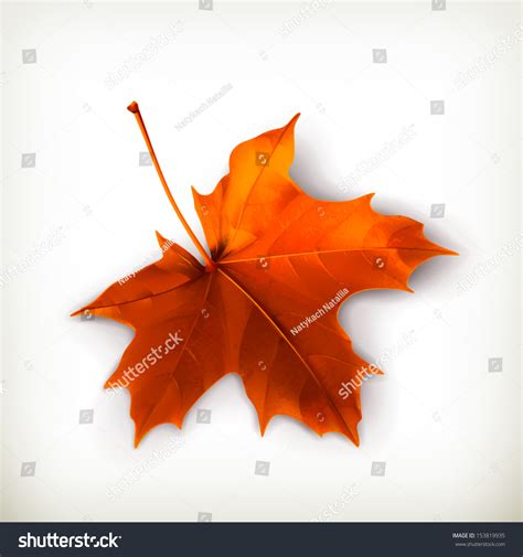 Image result for Vector File of Maple Leaf
