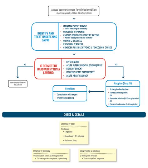 Sinus Bradycardia ACLS Algorithm 的图像结果