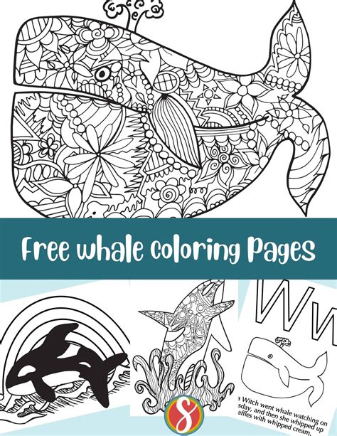 Free Coloring Pages Of Whales