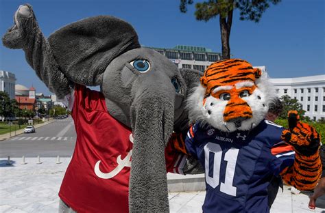 Is this snake poisonous? Here are the 6 venomous snakes in Alabama