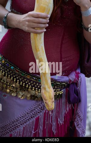 Image result for Python Snake Belly Dancer