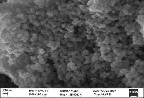 In vitro antioxidant and antibacterial potential of biosynthesized ...