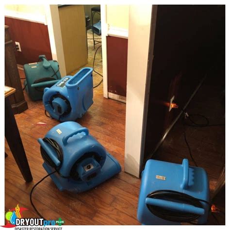 Category 3 Water Damage: Risks and Remediation Strategies