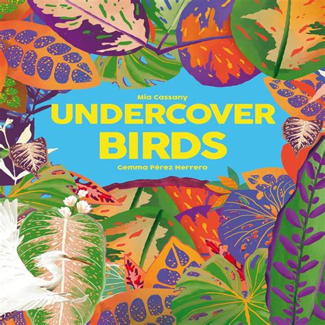 Undercover Birds — Toycra