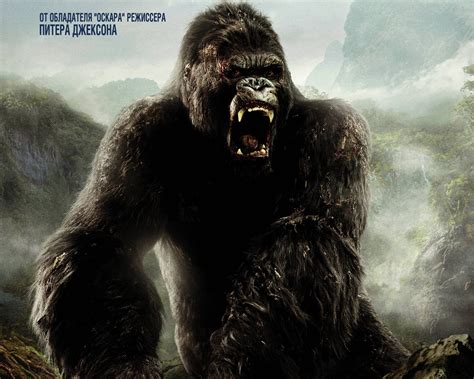 Son of Kong devrait être la suite de Godzilla vs. Kong | Premiere.fr