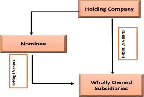 Wholly Owned Subsidiary, Registered Owner, Beneficial Owner