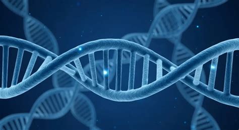 Comment Reprogrammer ADN 的图像结果