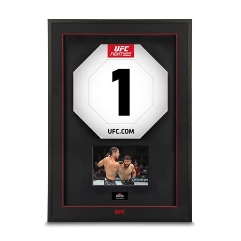 Image result for UFC Card