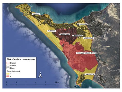 Characterization of an outbreak of malaria in a non-endemic zone on the coastal region of Ecuador