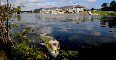 Indiana National Park Reopens Beaches After Deadly Cyanide Leak Killed ...