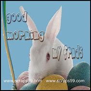 Image result for Good Morning Baby Artsy Rabbit