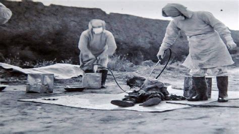 制造鼠疫 日军731部队研制细菌武器揭秘 - 生物通