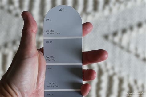 Sherwin Williams Lazy Gray