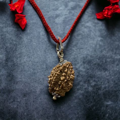 2 Mukhi Nepali Rudraksha - Do Mukhi – Japam