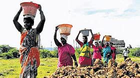 AP records highest number of 18.38 lakh MGNREGA job card deletions this ...
