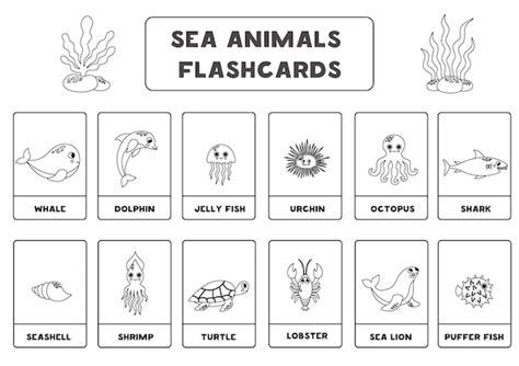 Kreskówka zwierzęta morskie z nazwami Czarno-białe Fiszki do nauki ...