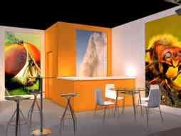 Proyecto Propio: Customer Reviews, Stands and Services