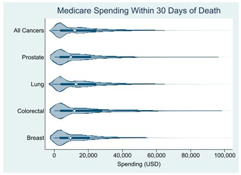 Predictors and Drivers of End-of-Life Medicare Spending Among Older ...