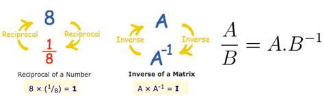 Tutorials Inverse Matrices 的图像结果