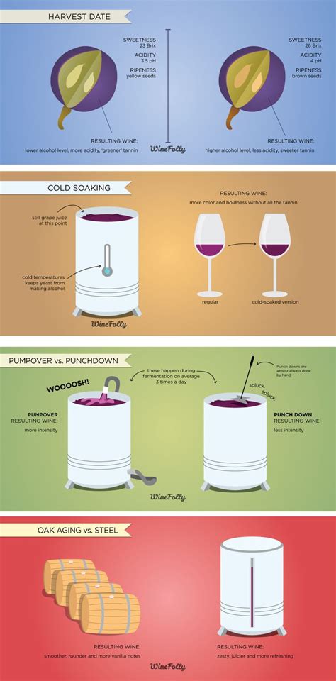 Wine Making Process 的图像结果