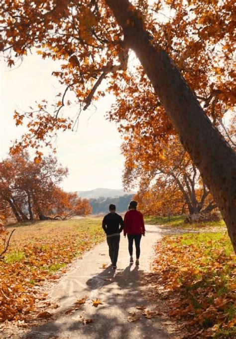 sycamore-grove-park-livermore-@cyndeede - Visit Tri-Valley