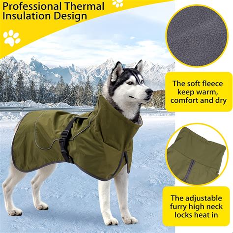 Large dog jackets online