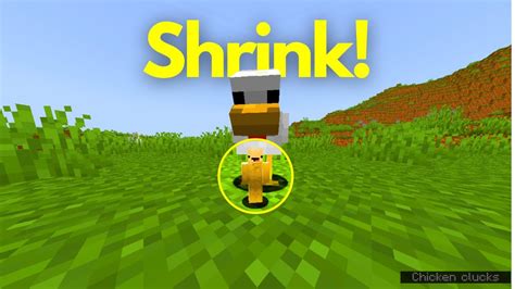 Image result for Shrinker Minecraft