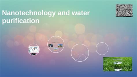Image result for Environmental Biology Careers