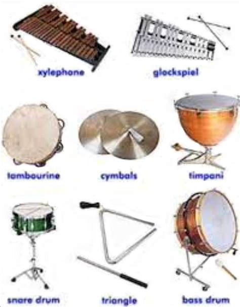 Image result for Rhythm Instruments