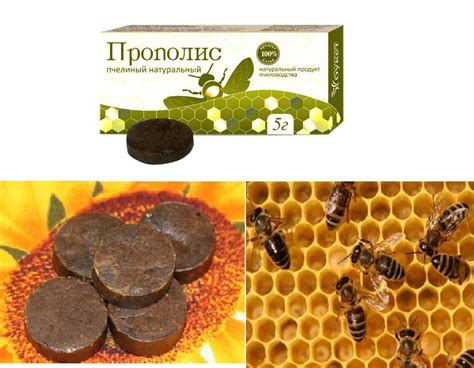 Прополис. Уникальные свойства пчелиного клея. Состав и полезные ...